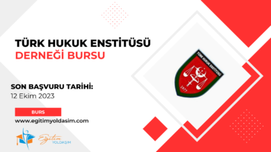 Türk Hukuk Enstitüsü Derneği Bursu