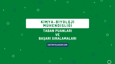 Kimya-Biyoloji Mühendisliği Taban Puanları ve Başarı Sıralamaları