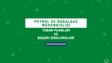 Petrol ve Doğalgaz Mühendisliği Taban Puanları ve Başarı Sıralamaları