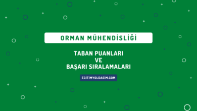 Orman Mühendisliği Taban Puanları ve Başarı Sıralamaları