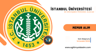 İstanbul Üniversitesi 46 sözleşmeli