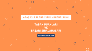 Ağaç İşleri Endüstri Mühendisliği Taban Puanları ve Başarı Sıralamaları