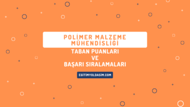 Polimer Malzeme Mühendisliği Taban Puanları ve Başarı Sıralamaları