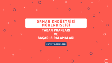 Orman Endüstrisi Mühendisliği Taban Puanları ve Başarı Sıralamaları