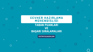 Cevher Hazırlama Mühendisliği Taban Puanları ve Başarı Sıralamaları