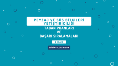 Peyzaj ve Süs Bitkileri Yetiştiriciliği Taban Puanları ve Başarı Sıralamaları