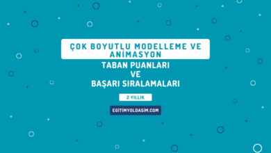 Çok Boyutlu Modelleme ve Animasyon Taban Puanları ve Başarı Sıralamaları