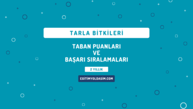 Tarla Bitkileri Taban Puanları ve Başarı Sıralamaları