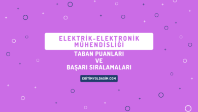 Elektrik-Elektronik Mühendisliği Taban Puanları ve Başarı Sıralamaları